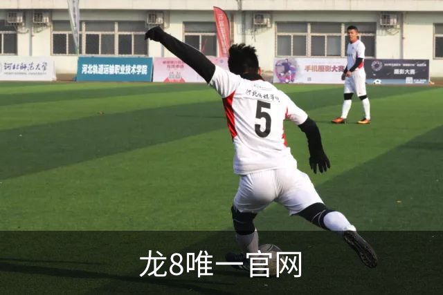 龙8唯一官网